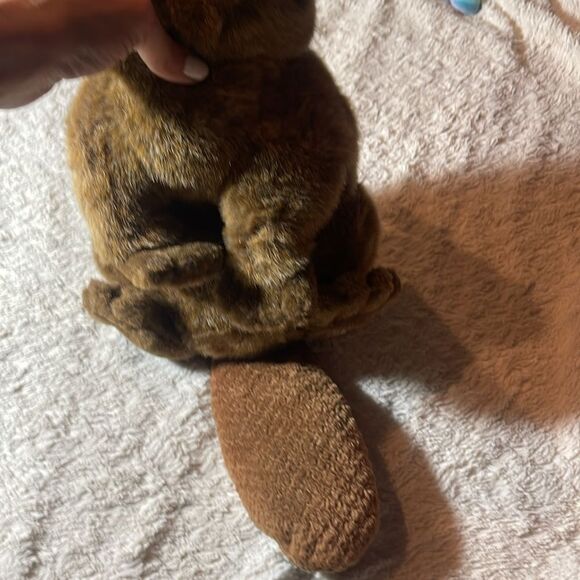 NWT Dakin ward beaver - Picture 4 of 5